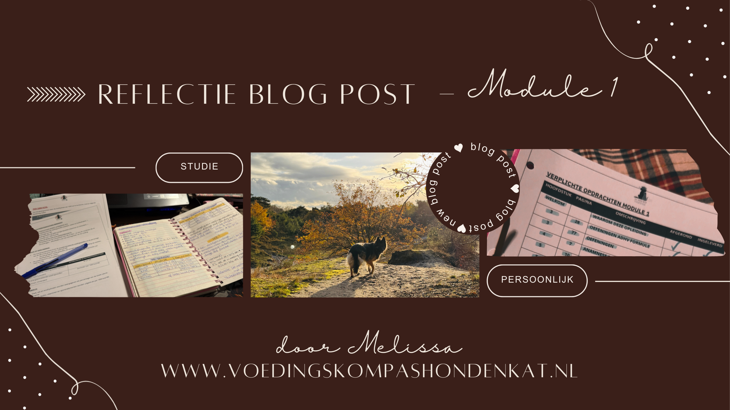 Reflectie blog post Module 1.