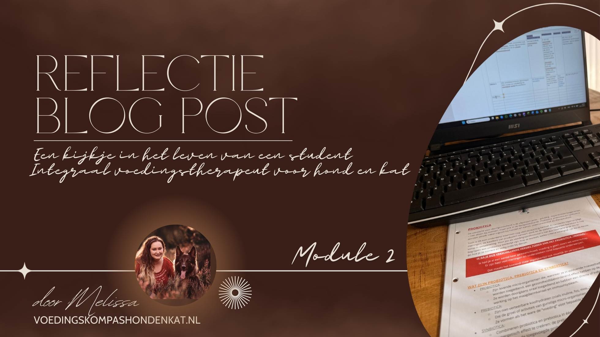 Reflectie blog post – een kijkje in het leven van een student integraal voedingstherapeut voor hond en kat